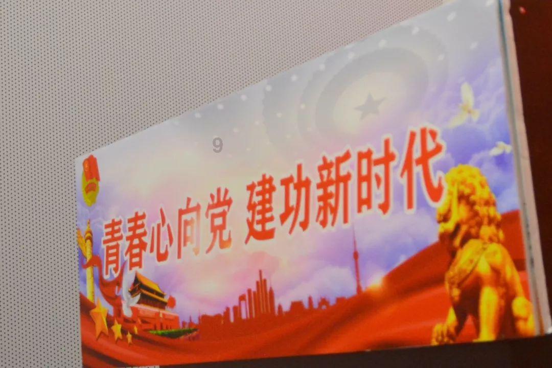 凤凰不好惹